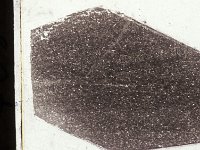 C705  Sezione sottile del campione Arenaria micacea e calcarenite distroma , scala orizzontale= 2,5 cm. Thin section of the sample, orizontal scale= 2,5 cm.