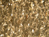 DSCN5067  Arenaria micacea e calcarenite in olistroma