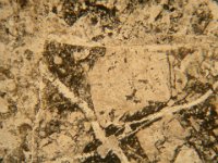 DSCN4979  Granito a pasta basalitica