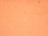 DSCN4998  Granito dei Cognetti