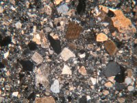 dscn5494  Sezione sottile del campione granito rocchetta , scala orizzontale= 2,5 cm. Thin section of the sample, orizontal scale= 2,5 cm.