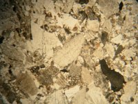 DSCN4951  Microfoto a NP, scala orizzontale 5mm. Arenaria costituita da clasti di roccia carbonatica (di colore grigio da chiaro a scuro) con varie tessiture e cristalli di quarzo e feldspati (incolore). Photomicrograph a PP, orizontal scale 5mm. Sandstone consisting of limestone grains (grey), and quartz and feldspatic crystals (white).